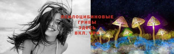 кристаллы Новокубанск