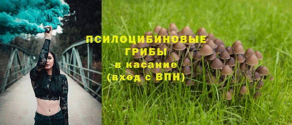 дмт Абинск